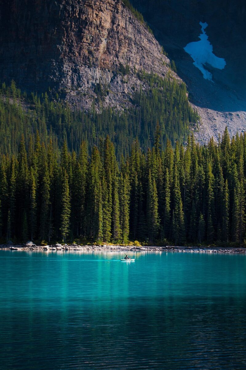 trees, lake, paddle, kayak, canoe, banff, alberta, canada, landscape, water, scenery, forest, sky, mountain, travel, canadian, park, outdoor, national, explore, kayaking, adventure, nature, kayak, banff, alberta, canada, canada, canada, canada, canada, scenery, forest, mountain, nature, nature