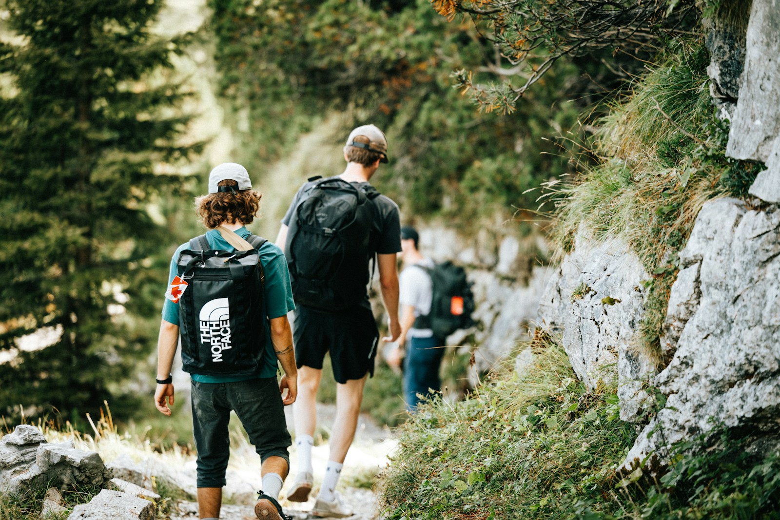 Three hikers walk on a mountain trail