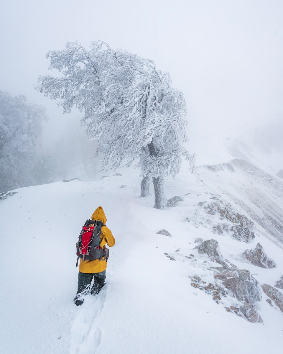 Hiker in yellow jacket walks through a snowy, frosted forest.