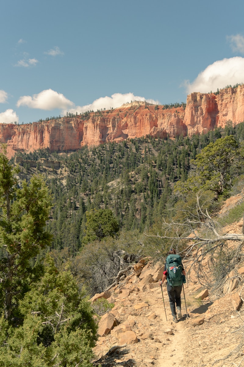 Hiker with backpack ascends a rocky trail towards cliffs.